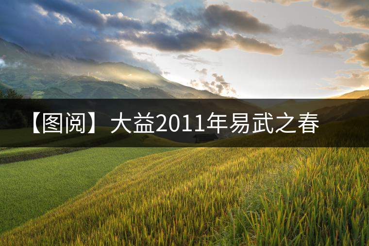 【圖閱】大益2011年易武之春開湯