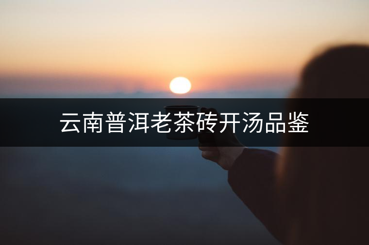 云南普洱老茶磚開(kāi)湯品鑒 云南普洱老茶磚開(kāi)湯品鑒