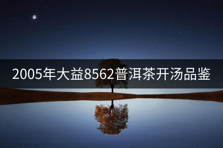 2005年大益8562普洱茶開湯品鑒