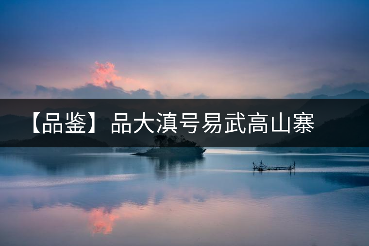 【品鑒】品大滇號(hào)易武高山寨有感