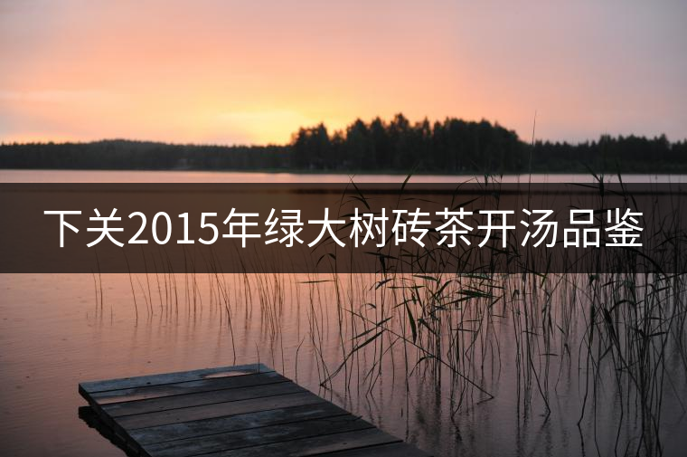 下關(guān)2015年綠大樹磚茶開湯品鑒 下關(guān)2015年綠大樹磚茶開湯品鑒
