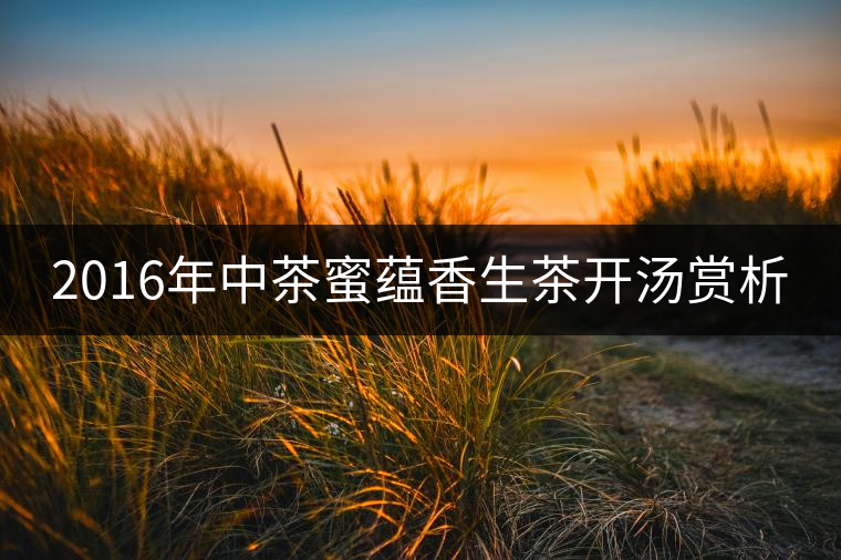2016年中茶蜜蘊香生茶開湯賞析
