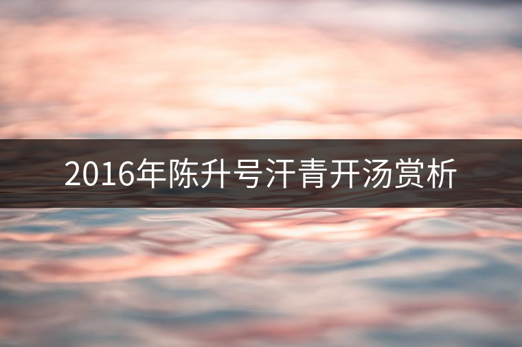2016年陳升號汗青開湯賞析