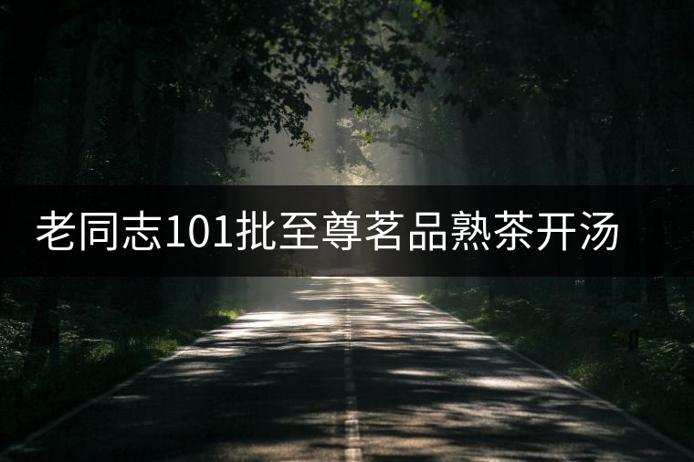 老同志101批至尊茗品熟茶開湯品鑒