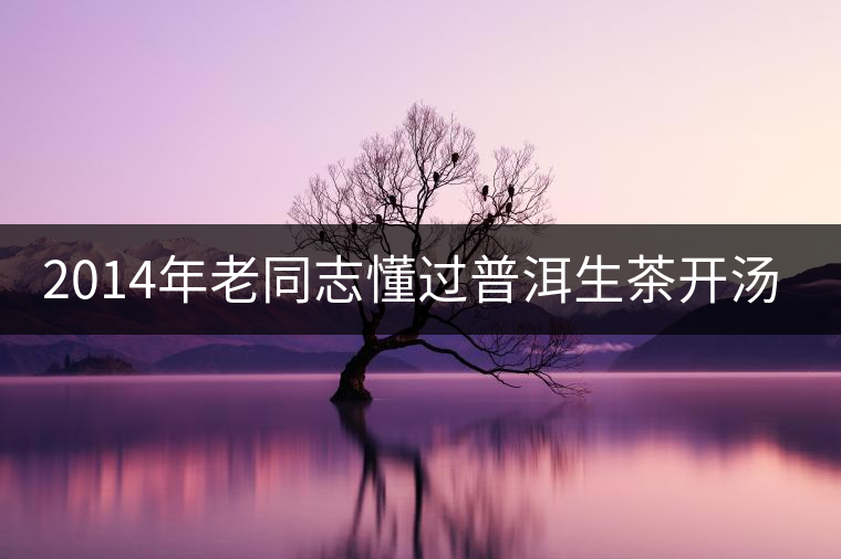 2014年老同志懂過普洱生茶開湯品鑒
