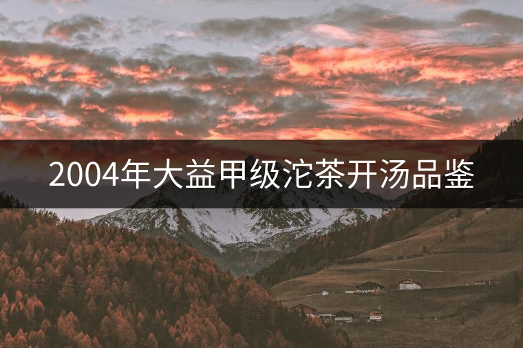2004年大益甲級沱茶開湯品鑒 2004年大益甲級沱茶開湯品鑒