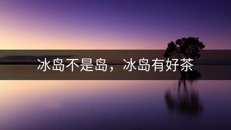 冰島不是島，冰島有好茶