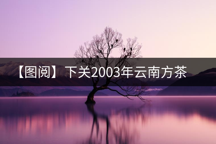 【圖閱】下關(guān)2003年云南方茶開湯