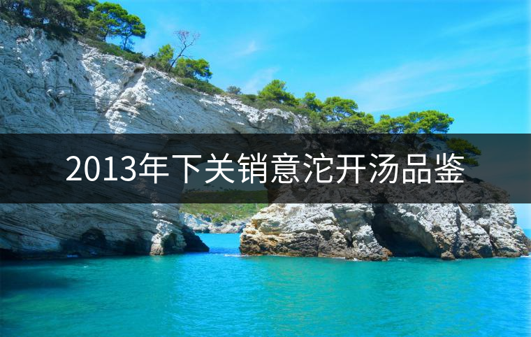2013年下關(guān)銷意沱開湯品鑒 2013年下關(guān)銷意沱開湯品鑒