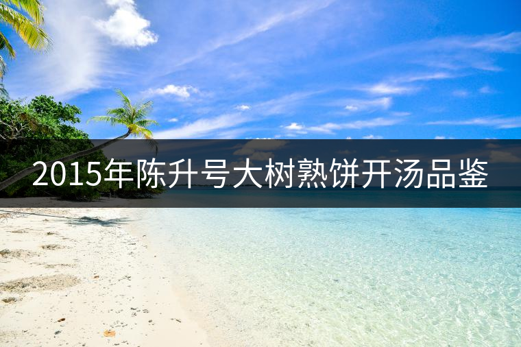 2015年陳升號大樹熟餅開湯品鑒 2015年陳升號大樹熟餅開湯品鑒