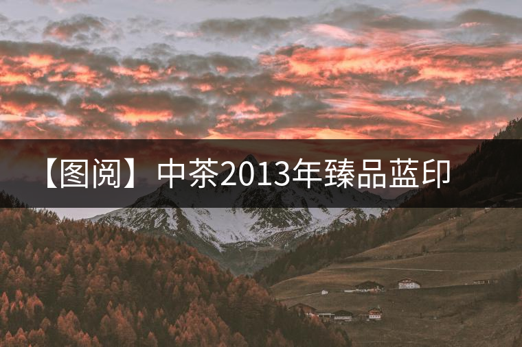 【圖閱】中茶2013年臻品藍(lán)印開(kāi)湯