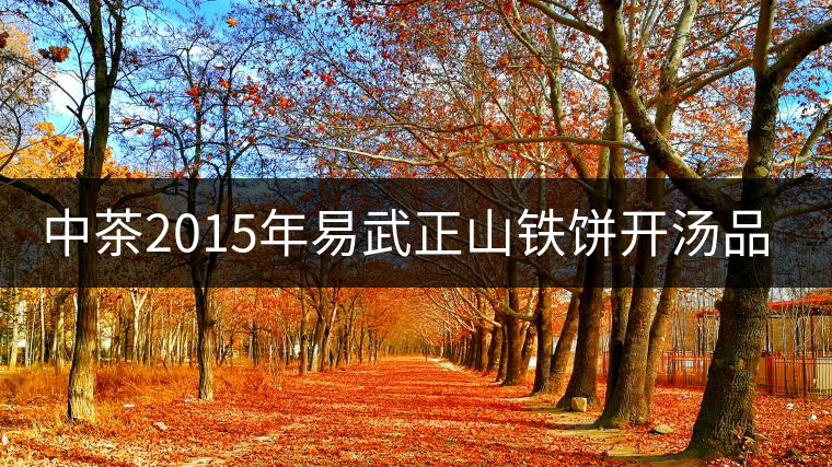 中茶2015年易武正山鐵餅開湯品鑒