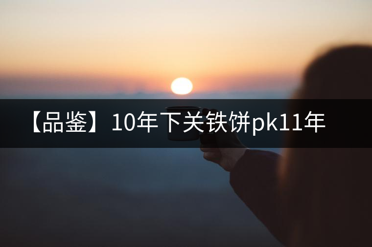 【品鑒】10年下關(guān)鐵餅pk11年下關(guān)鐵餅