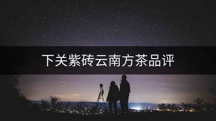 下關(guān)紫磚云南方茶品評(píng)