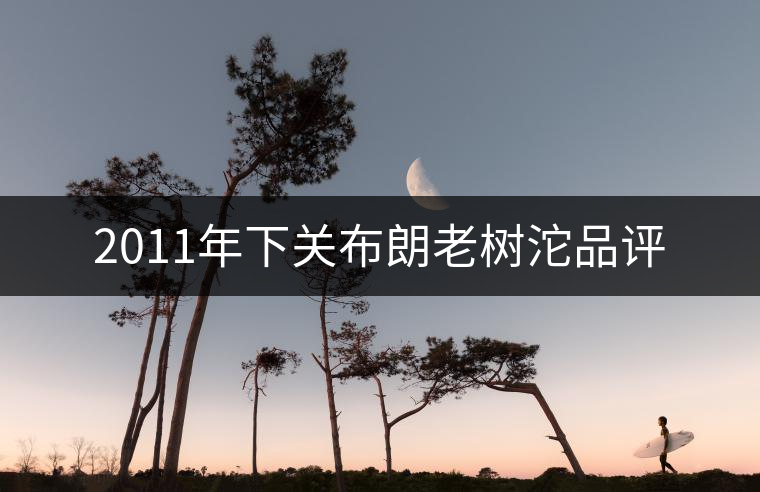 2011年下關(guān)布朗老樹沱品評 2011年下關(guān)布朗老樹沱品評
