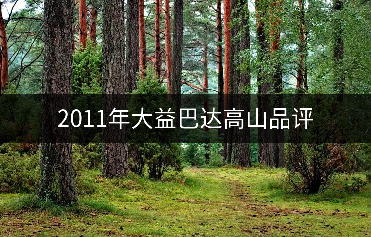 2011年大益巴達(dá)高山品評(píng)