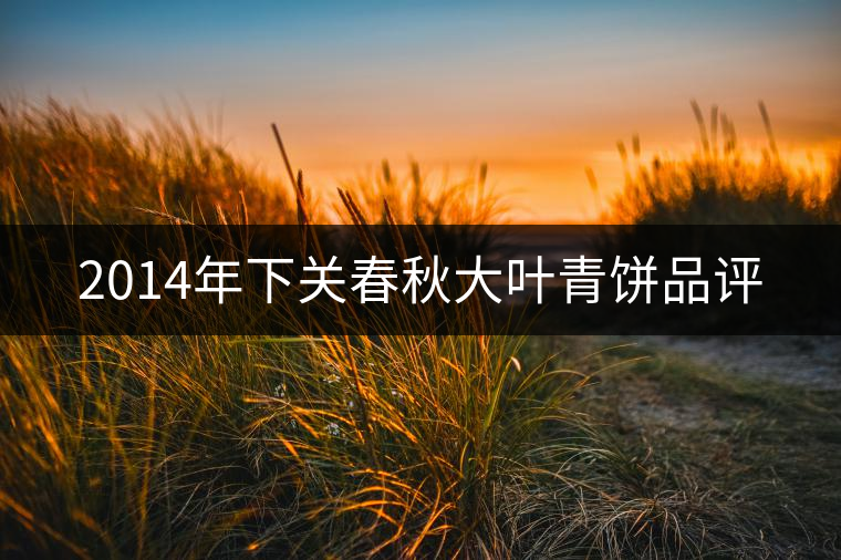 2014年下關(guān)春秋大葉青餅品評(píng)