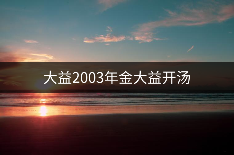 大益2003年金大益開湯 大益2003年金大益開湯