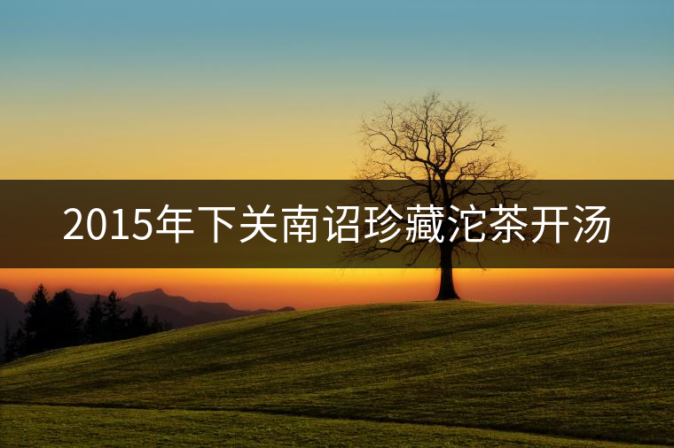 2015年下關(guān)南詔珍藏沱茶開湯