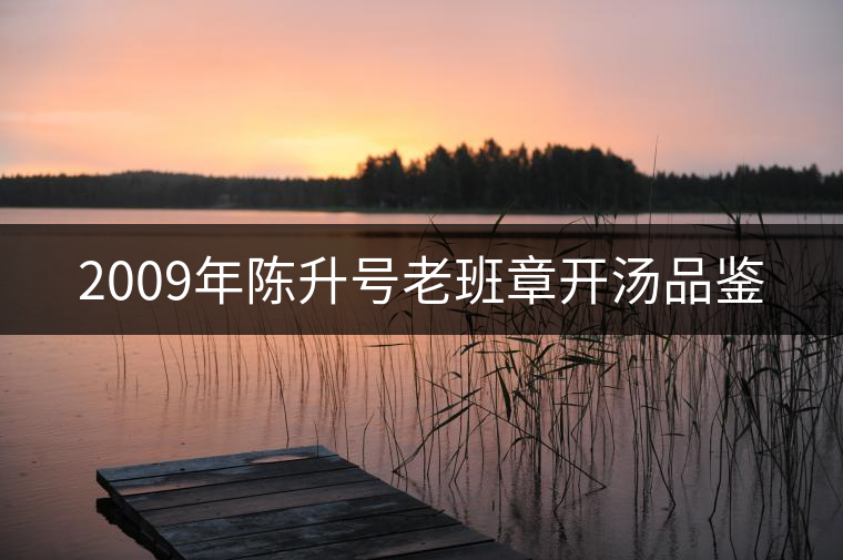 2009年陳升號(hào)老班章開湯品鑒