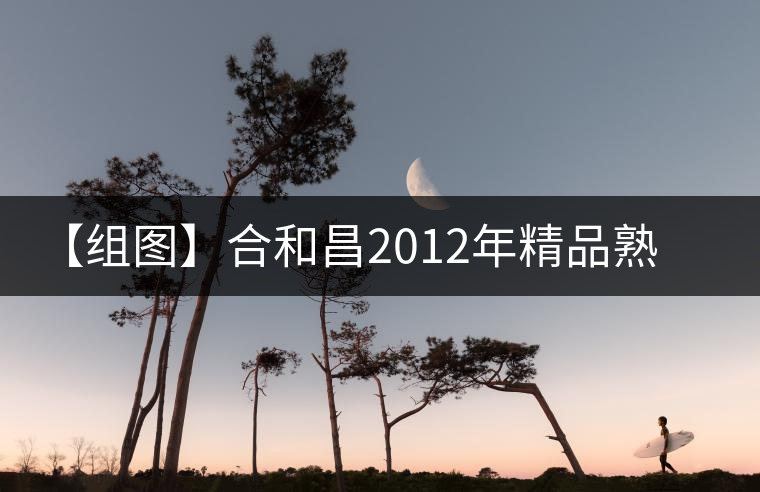 【組圖】合和昌2012年精品熟磚開湯