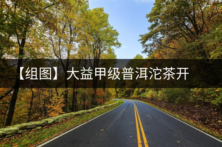 【組圖】大益甲級普洱沱茶開湯