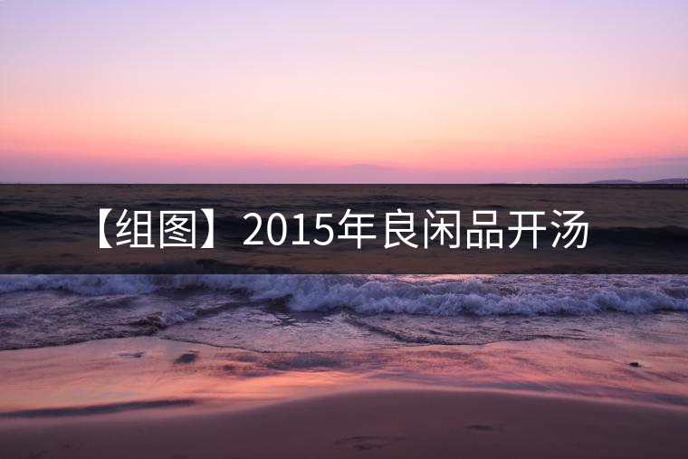 【組圖】2015年良閑品開湯