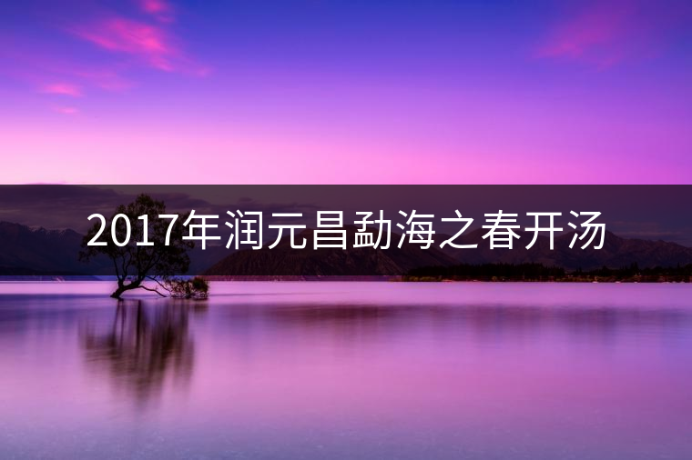 2017年潤(rùn)元昌勐海之春開湯 2017年潤(rùn)元昌勐海之春開湯