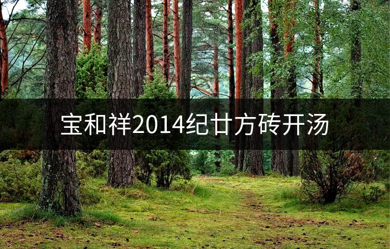 寶和祥2014紀(jì)廿方磚開(kāi)湯