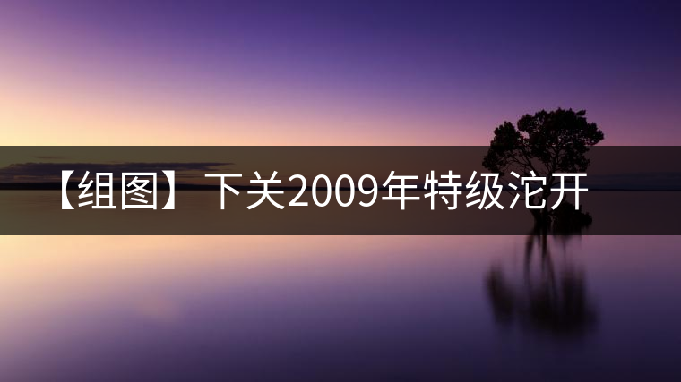 【組圖】下關(guān)2009年特級沱開湯