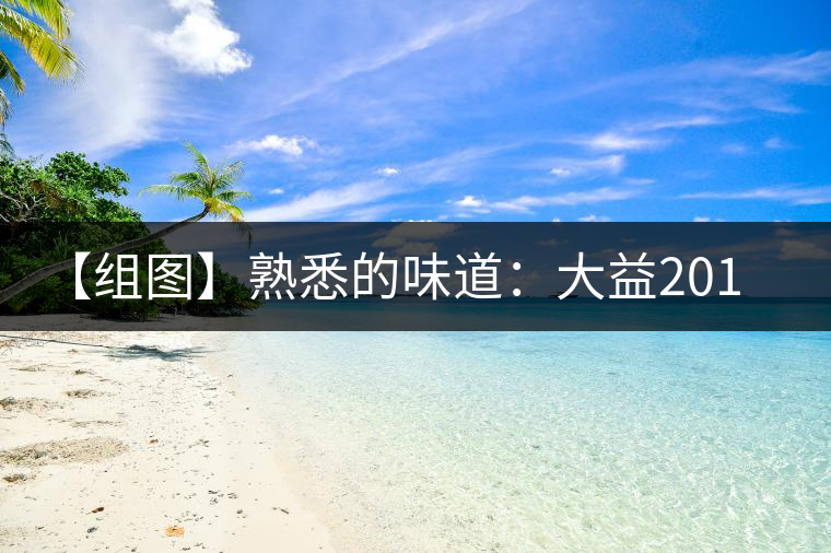 【組圖】熟悉的味道:大益2013年小龍柱開湯 【組圖】熟悉的味道:大益2013年小龍柱開湯
