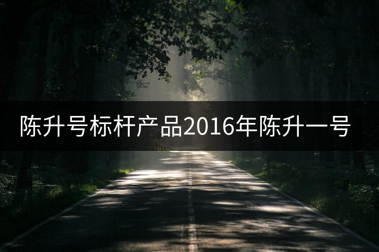 陳升號(hào)標(biāo)桿產(chǎn)品2016年陳升一號(hào)開湯