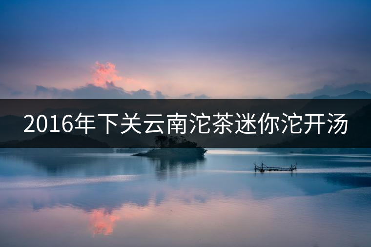 2016年下關云南沱茶迷你沱開湯