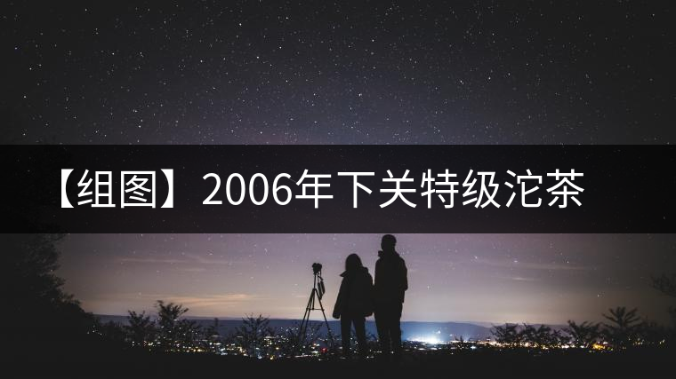 【組圖】2006年下關(guān)特級沱茶開湯 【組圖】2006年下關(guān)特級沱茶開湯