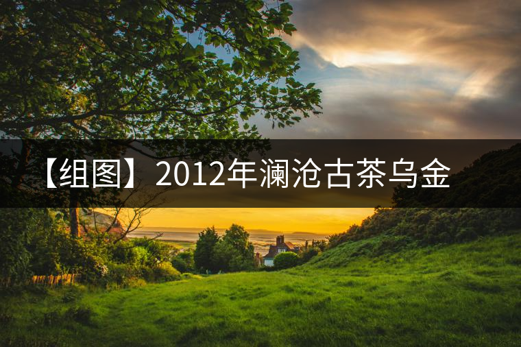 【組圖】2012年瀾滄古茶烏金開湯
