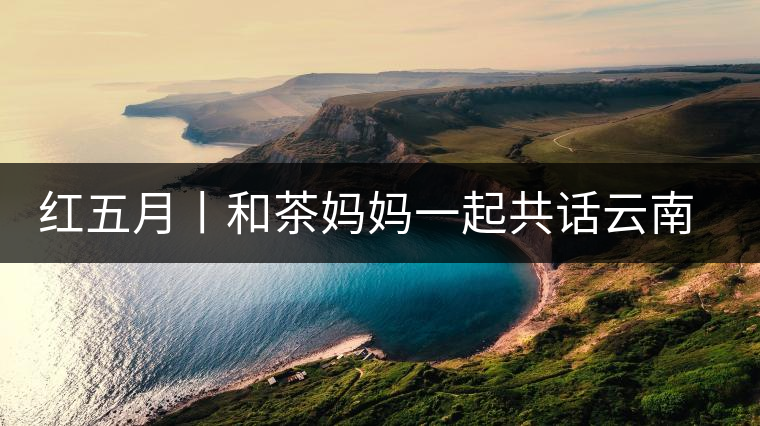紅五月丨和茶媽媽一起共話云南回憶