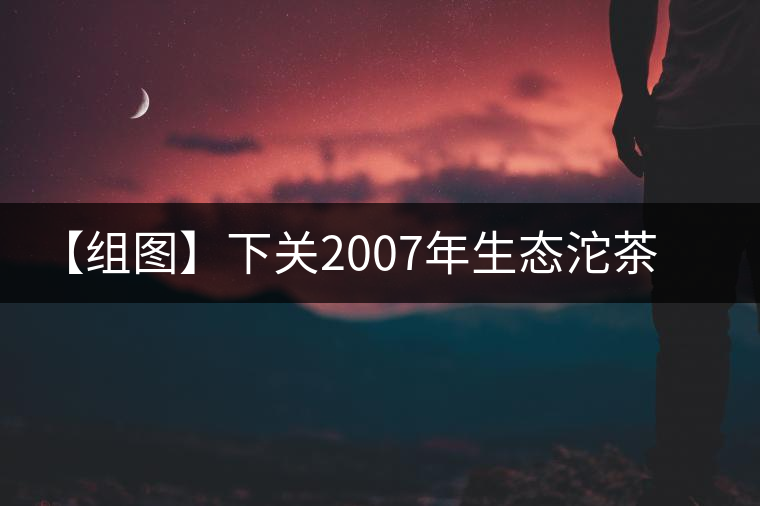 【組圖】下關(guān)2007年生態(tài)沱茶開湯