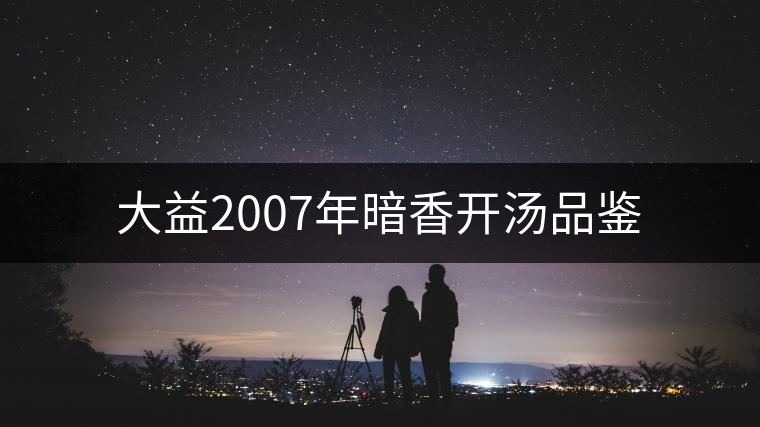大益2007年暗香開湯品鑒 大益2007年暗香開湯品鑒