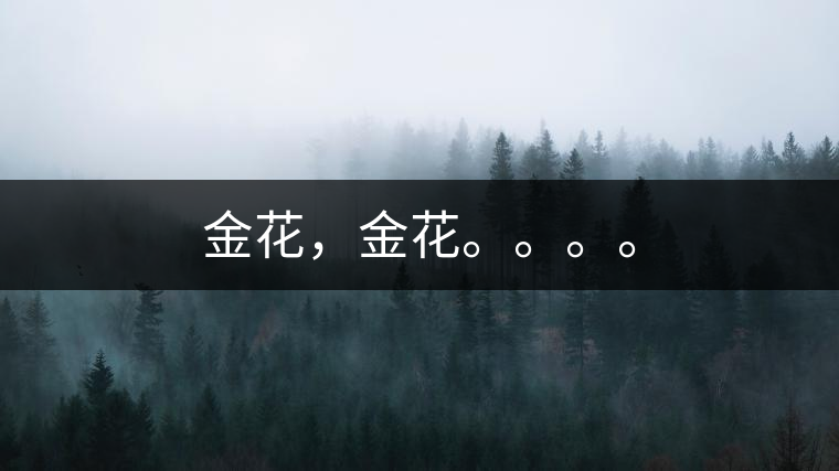 金花，金花。。。。
