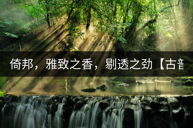 倚邦，雅致之香，剔透之勁【古普十二山品鑒】