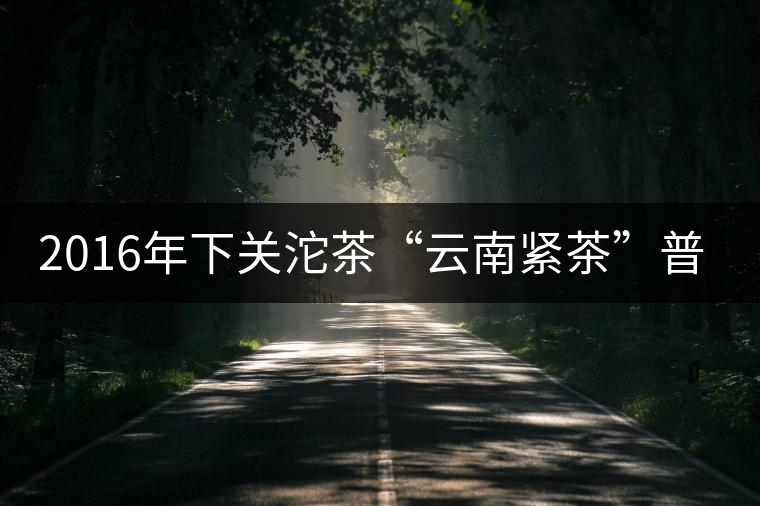 2016年下關(guān)沱茶“云南緊茶”普洱生茶 2016年下關(guān)沱茶“云南緊茶”普洱生茶