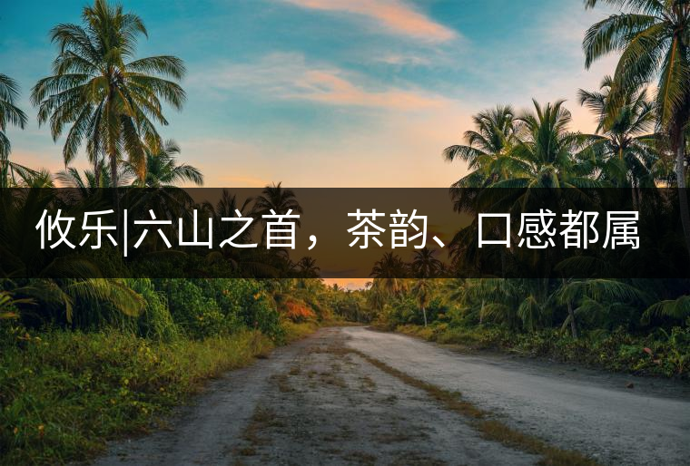 攸樂|六山之首，茶韻、口感都屬古六山一系