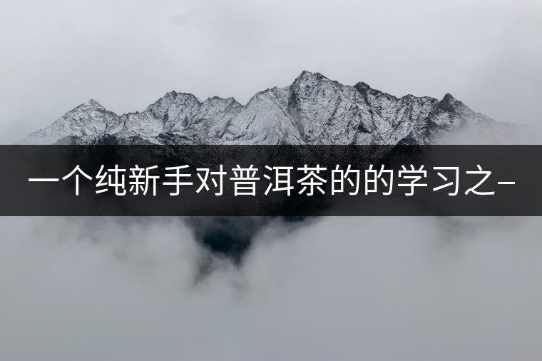 一個純新手對普洱茶的的學習之——【味】