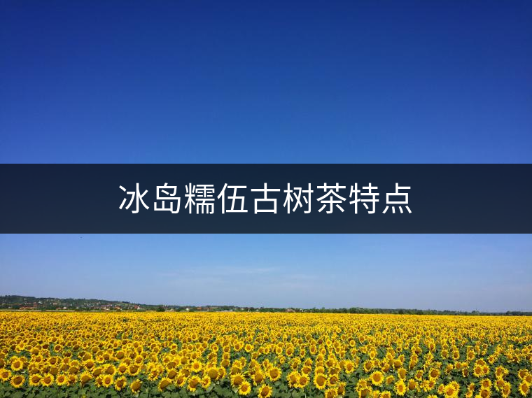 冰島糯伍古樹茶特點 冰島糯伍古樹茶特點