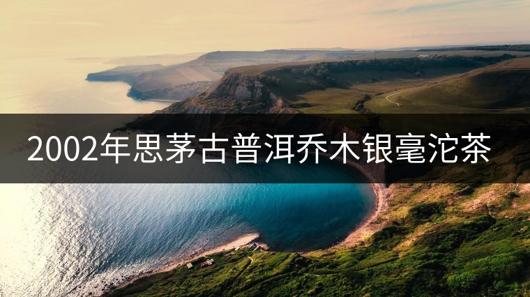 2002年思茅古普洱喬木銀毫沱茶開湯品鑒 2002年思茅古普洱喬木銀毫沱茶開湯品鑒