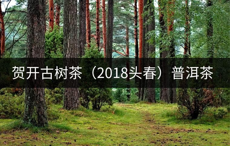 賀開古樹茶(2018頭春)普洱茶評(píng)測(cè) 賀開古樹茶(2018頭春)普洱茶評(píng)測(cè)