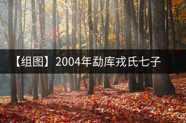 【組圖】2004年勐庫戎氏七子餅茶開湯