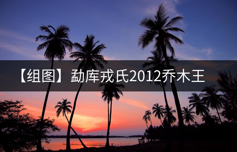 【組圖】勐庫戎氏2012喬木王開湯