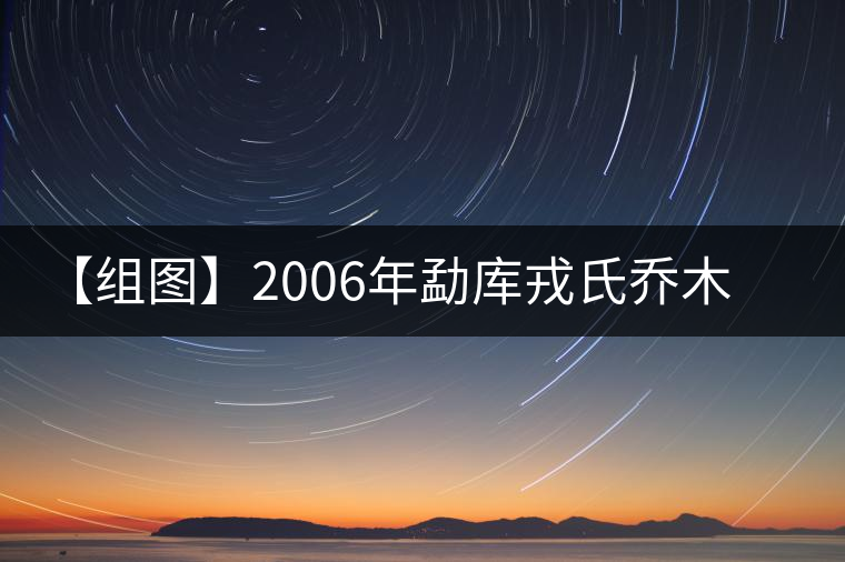 【組圖】2006年勐庫(kù)戎氏喬木王開(kāi)湯 【組圖】2006年勐庫(kù)戎氏喬木王開(kāi)湯