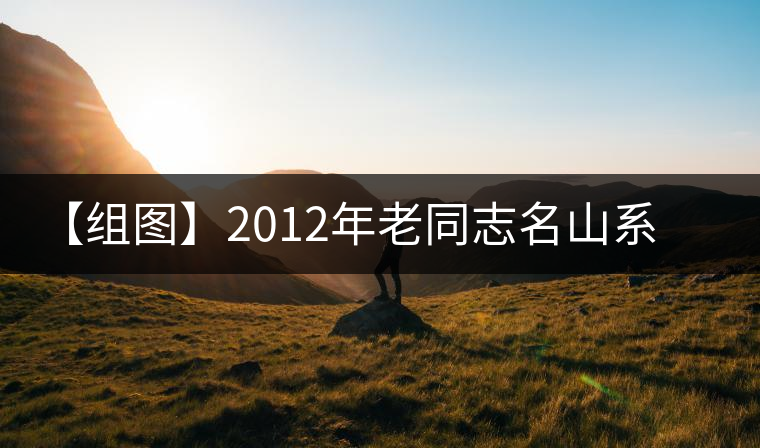 【組圖】2012年老同志名山系列帕沙古樹熟茶開湯